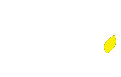 MN Environnement